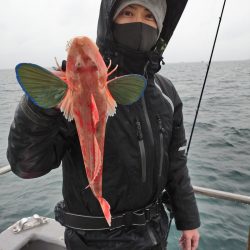 ありもと丸 釣果