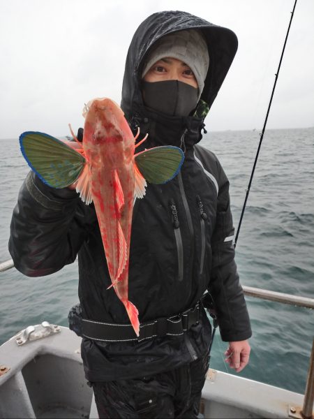 ありもと丸 釣果