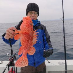 エンペラー 釣果