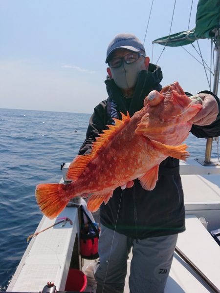 エンペラー 釣果