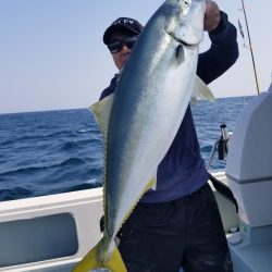 アマテラス 釣果