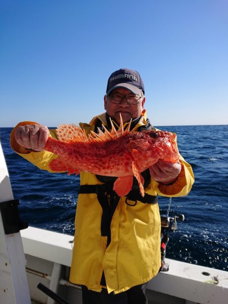 エンペラー 釣果