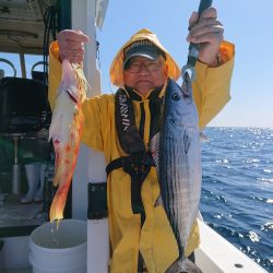 エンペラー 釣果