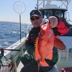 エンペラー 釣果