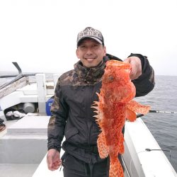 エンペラー 釣果