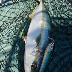 鷹王丸 釣果