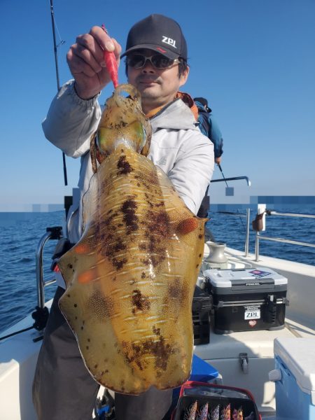 ソルトウォーターガイドフレンズ 釣果