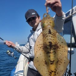 ソルトウォーターガイドフレンズ 釣果