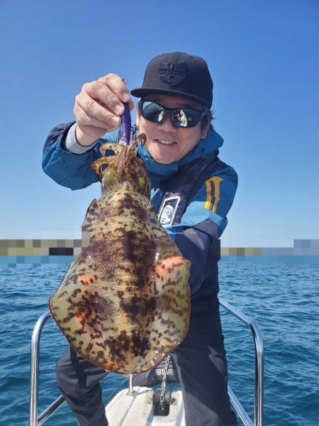 ソルトウォーターガイドフレンズ 釣果