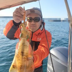 ソルトウォーターガイドフレンズ 釣果