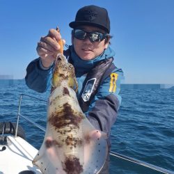 ソルトウォーターガイドフレンズ 釣果