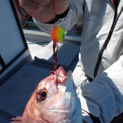 ありもと丸 釣果