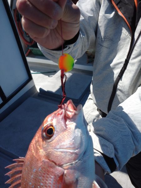 ありもと丸 釣果
