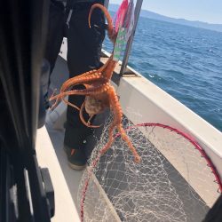 Ｖ−７ West 釣果