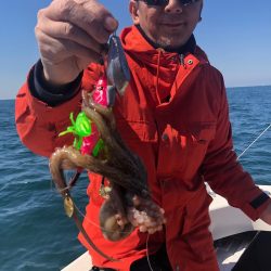 Ｖ−７ West 釣果