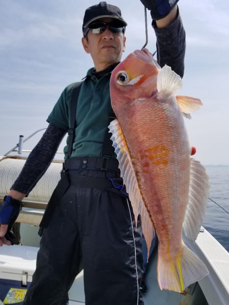 アマテラス 釣果