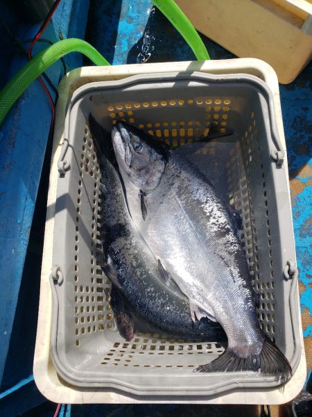 さち丸 釣果