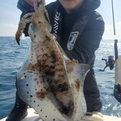 ソルトウォーターガイドフレンズ 釣果