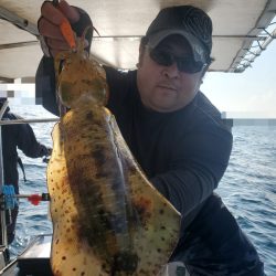 ソルトウォーターガイドフレンズ 釣果