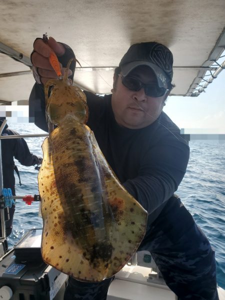 ソルトウォーターガイドフレンズ 釣果