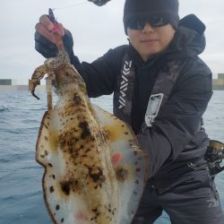 ソルトウォーターガイドフレンズ 釣果