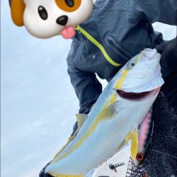 「LaGooN」蒼陽丸 日和号 釣果