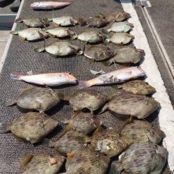 ブルースフィッシングサービス 釣果