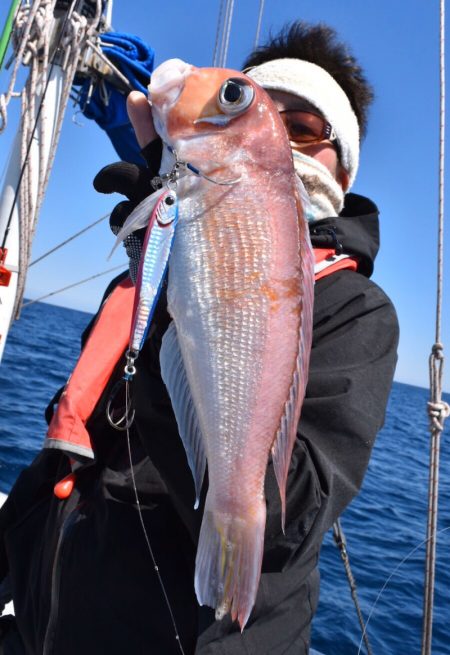 渡船屋たにぐち 釣果
