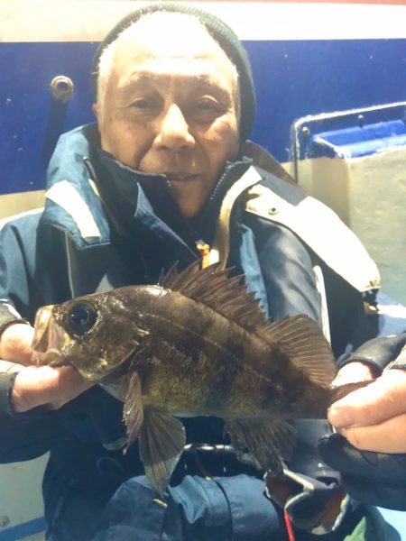 ヤザワ渡船 釣果