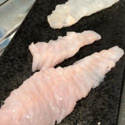 ブルースフィッシングサービス 釣果