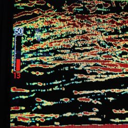 シースナイパー海龍 釣果