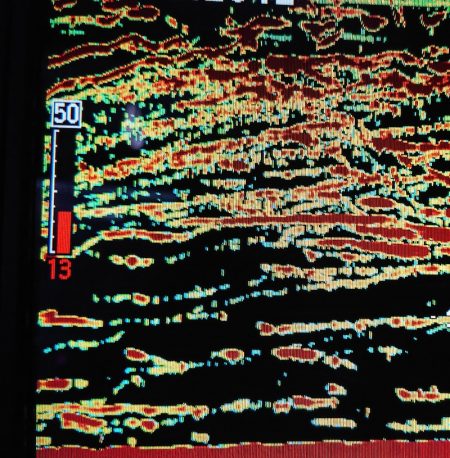 シースナイパー海龍 釣果