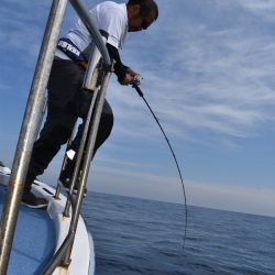 渡船屋たにぐち 釣果