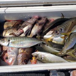 海龍丸（石川） 釣果