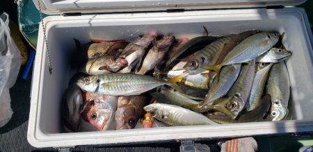 海龍丸（石川） 釣果