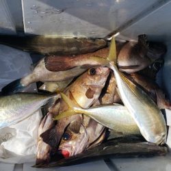 海龍丸（石川） 釣果