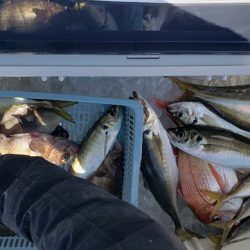 海龍丸（石川） 釣果