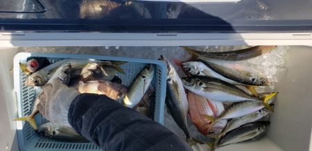 海龍丸（石川） 釣果