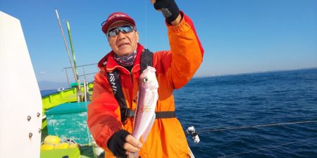 島きち丸 釣果