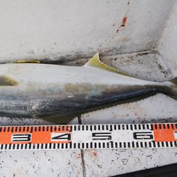 第二龍勢丸 釣果