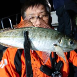 シースナイパー海龍 釣果