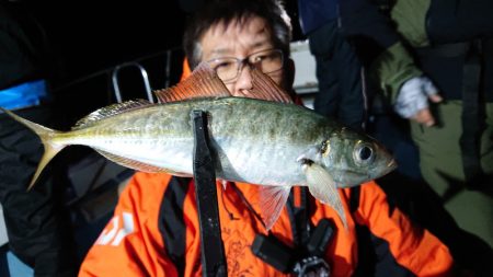 シースナイパー海龍 釣果