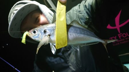シースナイパー海龍 釣果