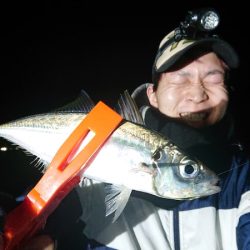 シースナイパー海龍 釣果