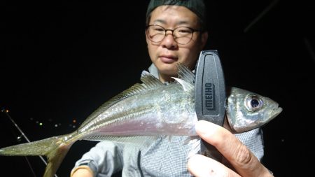 シースナイパー海龍 釣果