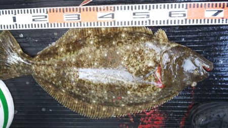 第二龍勢丸 釣果