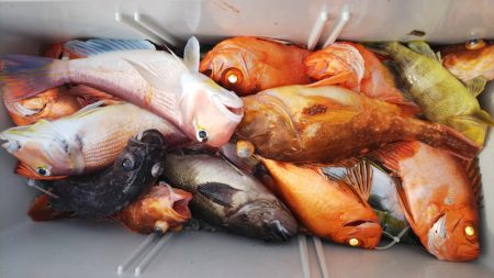 第二龍勢丸 釣果