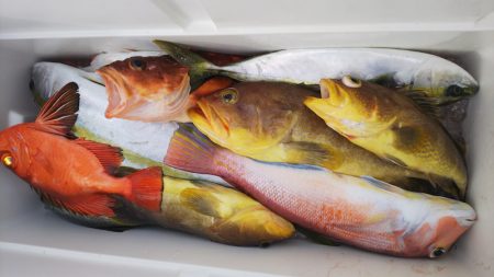 第二龍勢丸 釣果