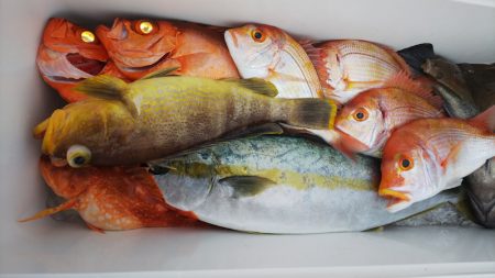 第二龍勢丸 釣果