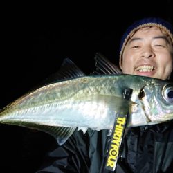 シースナイパー海龍 釣果
